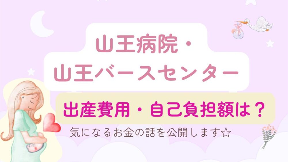 山王病院と山王バースセンターの出産費用と自己負担額は？