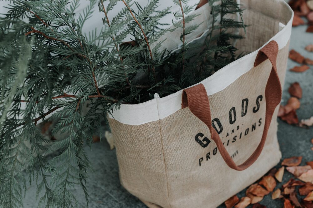bag