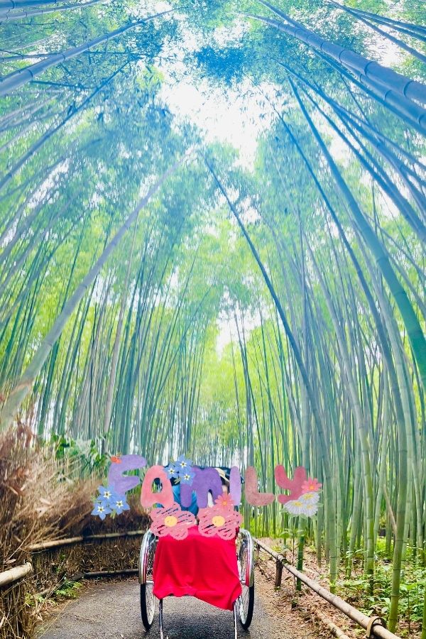 kyotosuiran