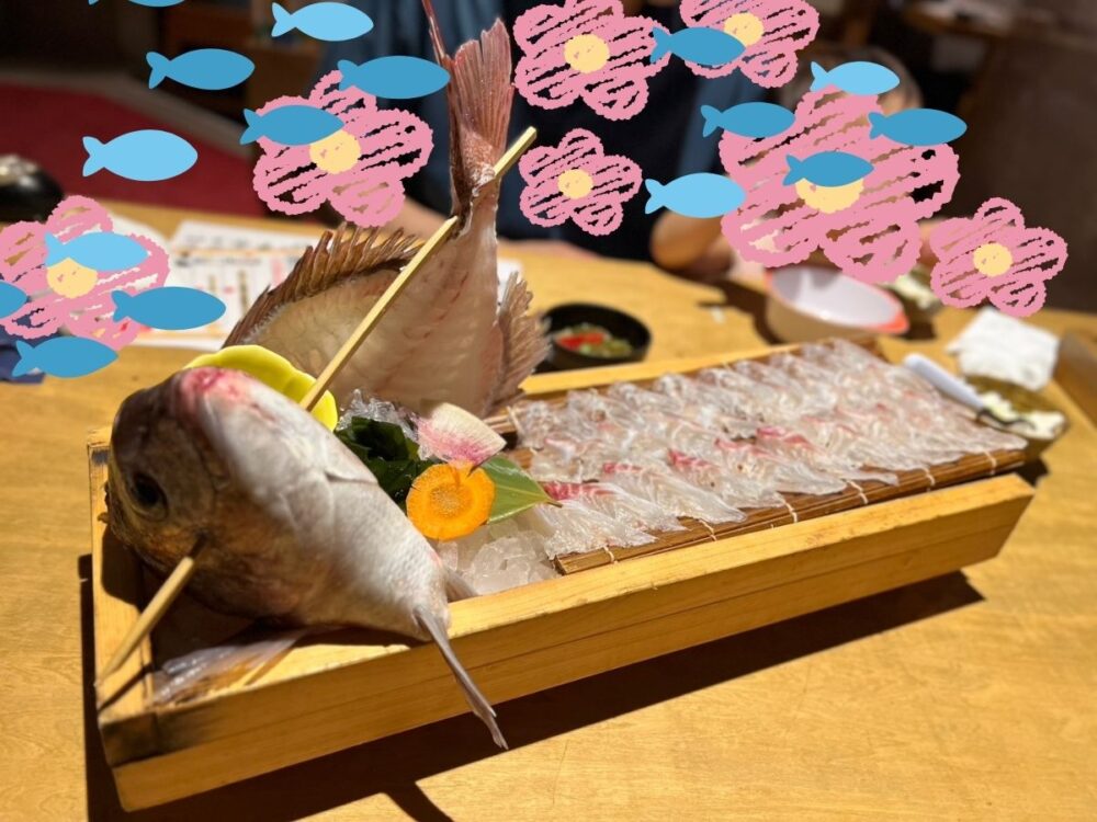 釣った鯛の刺身