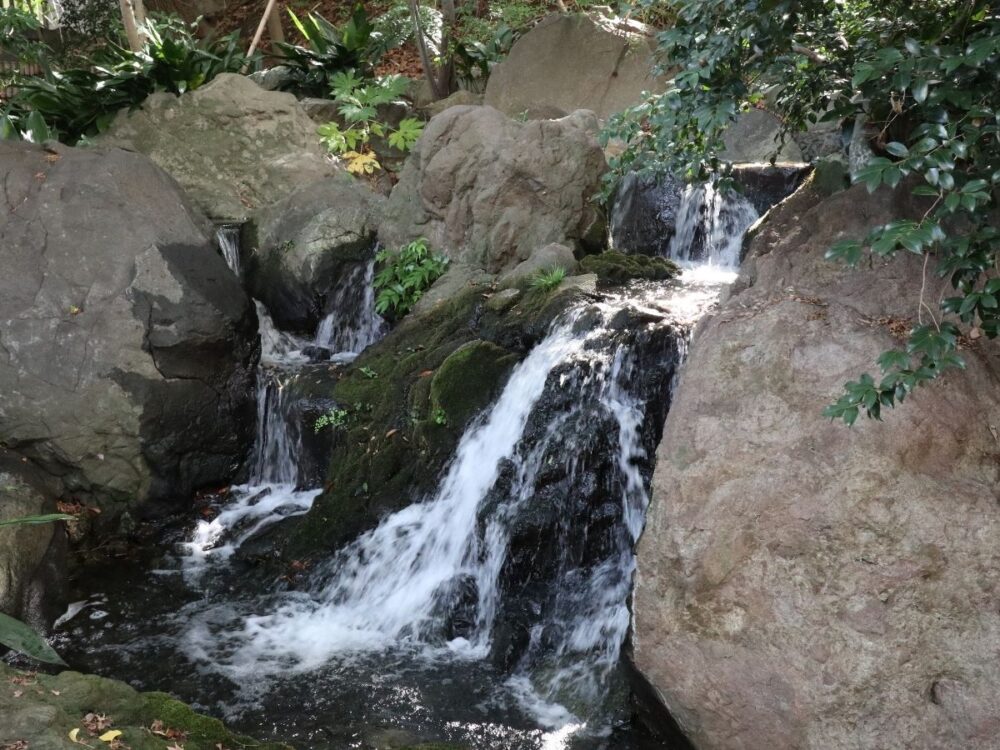 庭園の滝