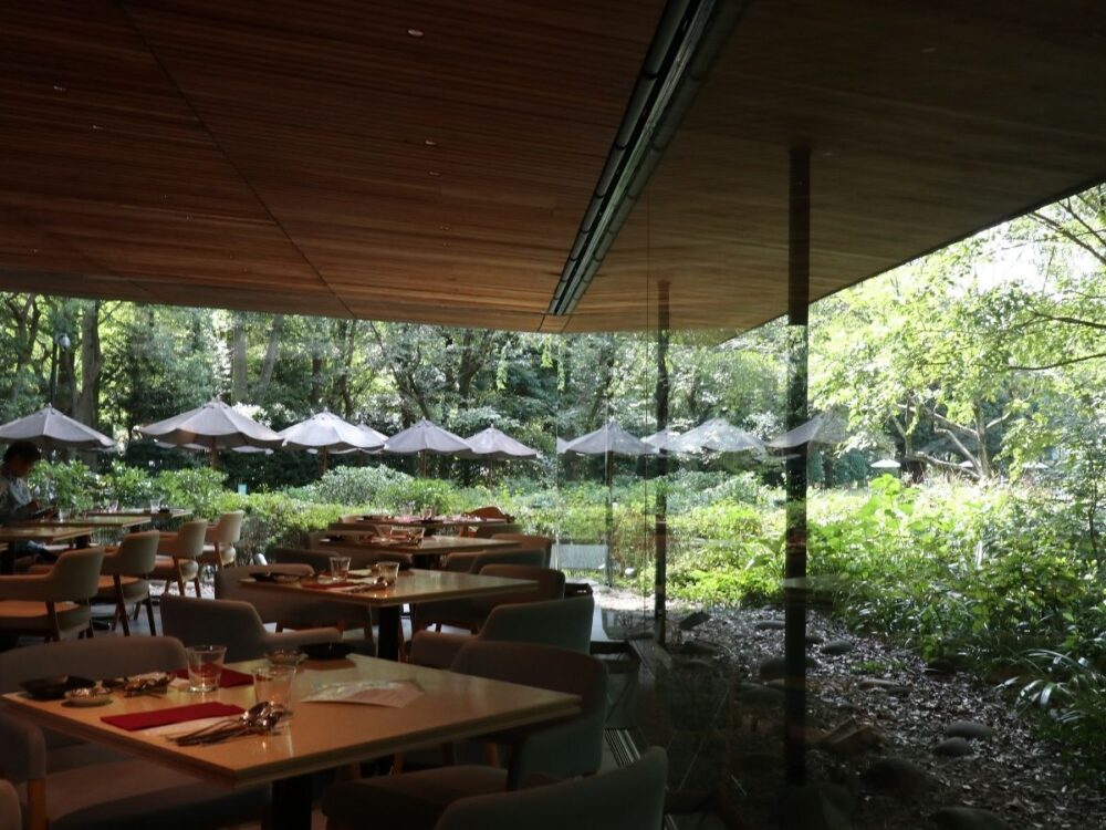 緑に囲まれたcomodoの店内