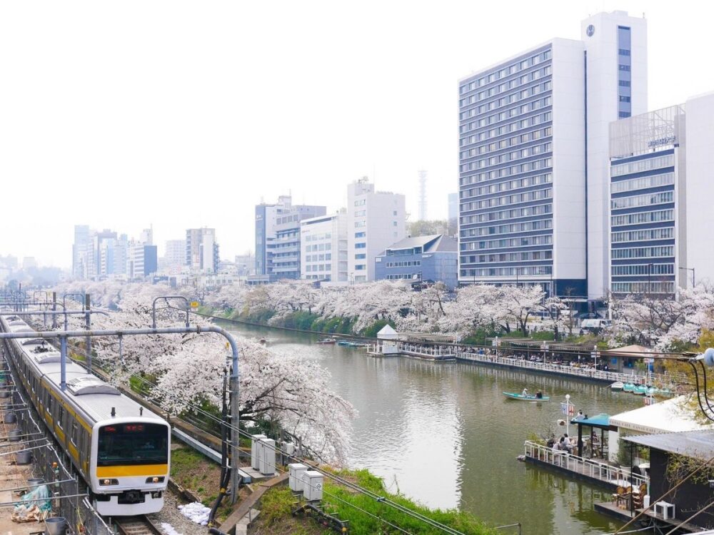飯田橋のお堀の桜