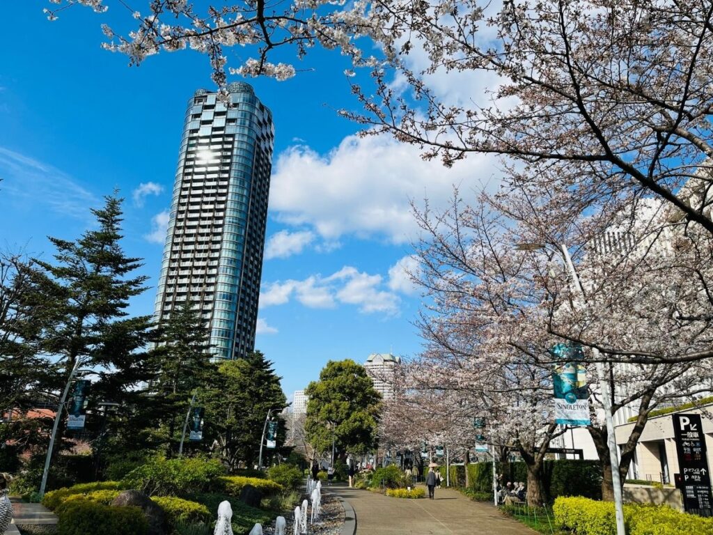 東京ミッドタウン・ガーデンの桜