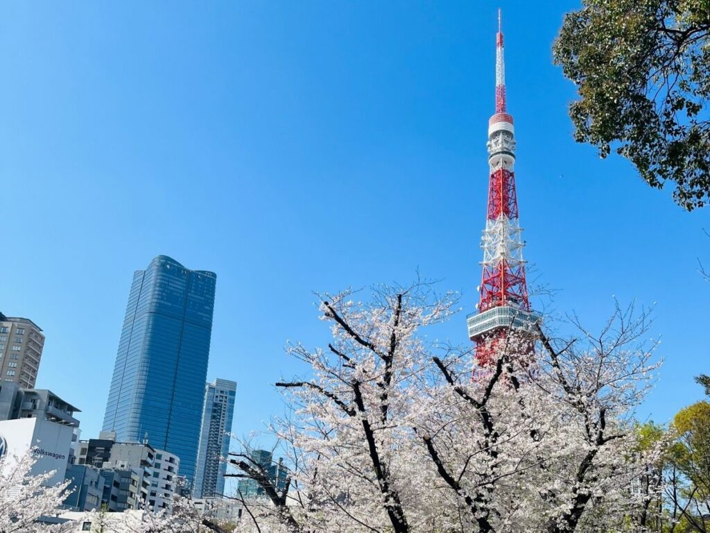 芝公園からの桜と東京タワー