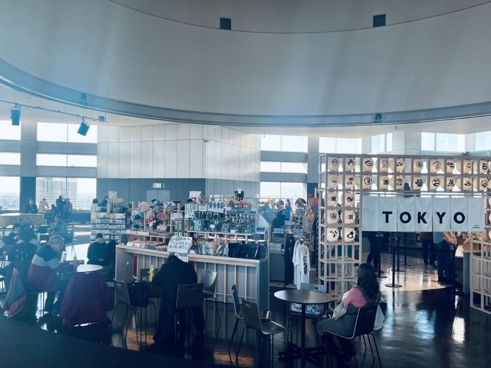 南眺望室の様子